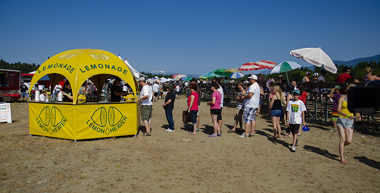 Lemon Heaven Dome Kiosk