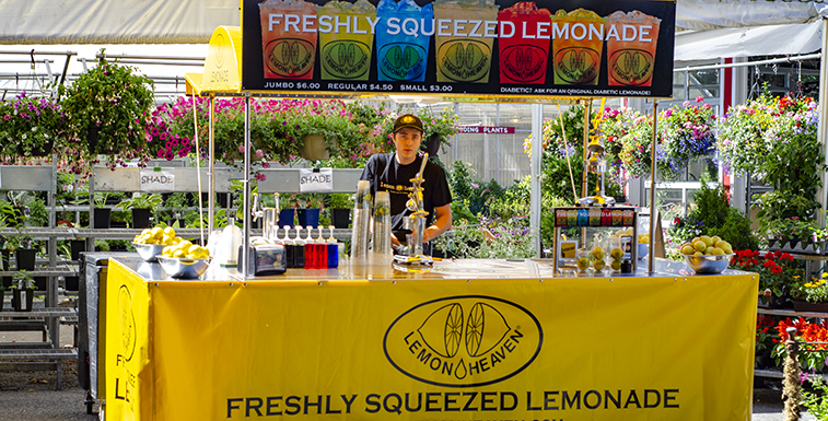 Lemon Heaven street vending cart