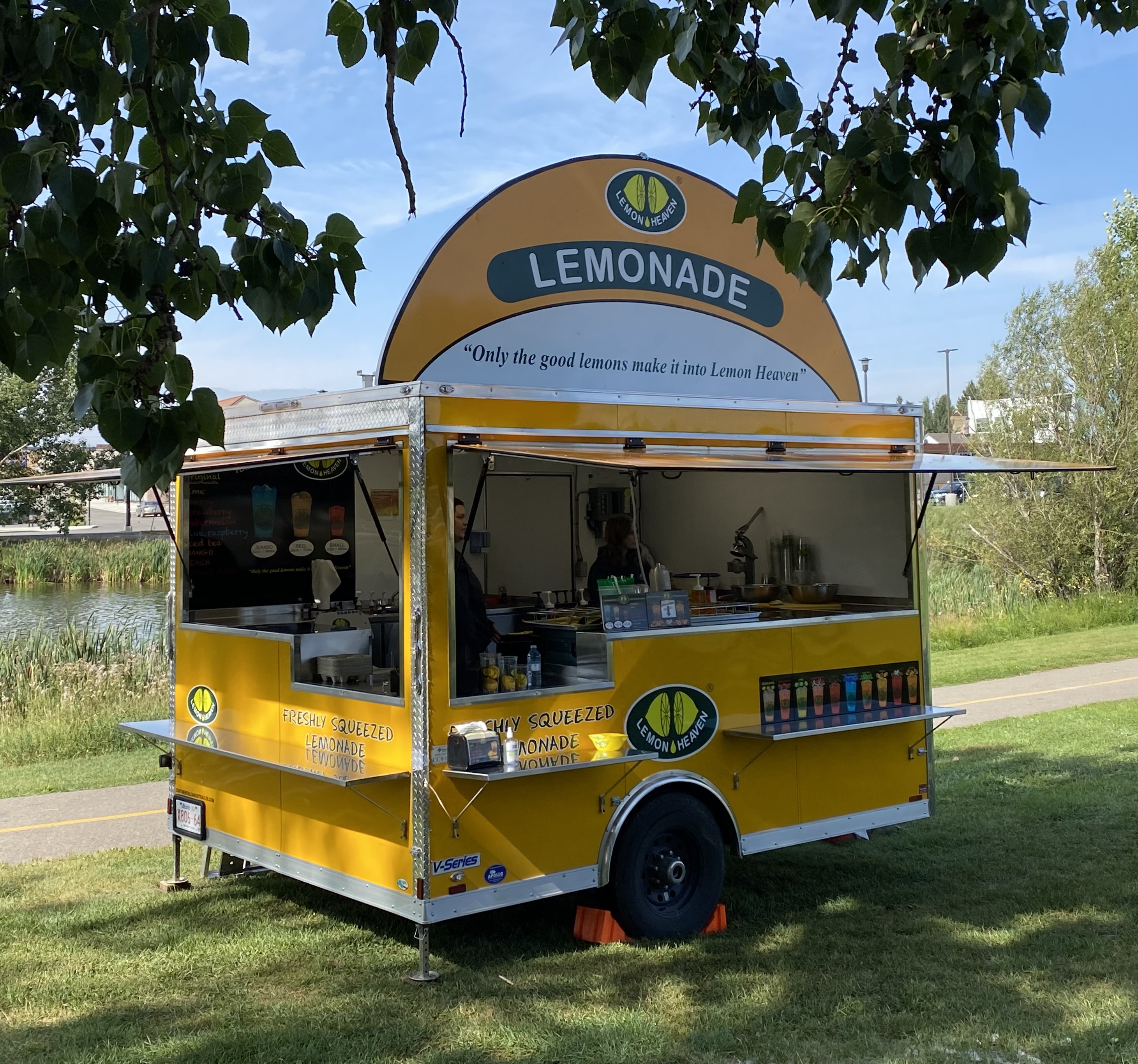 CALGARY HUMANE SOCIETY 2023 DOG JOG Lemon Heaven